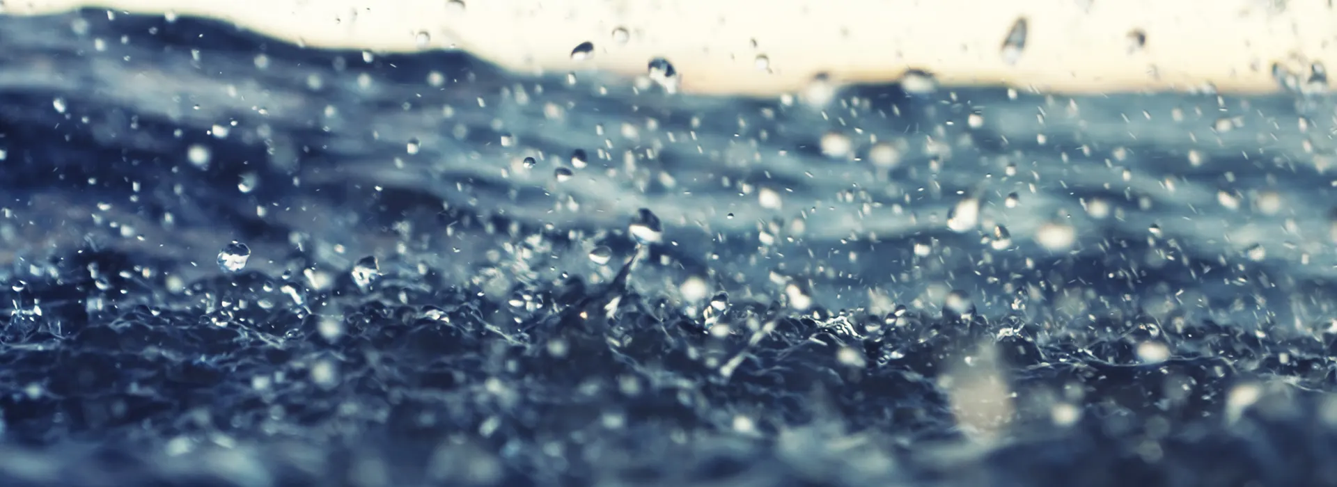 banner come here
