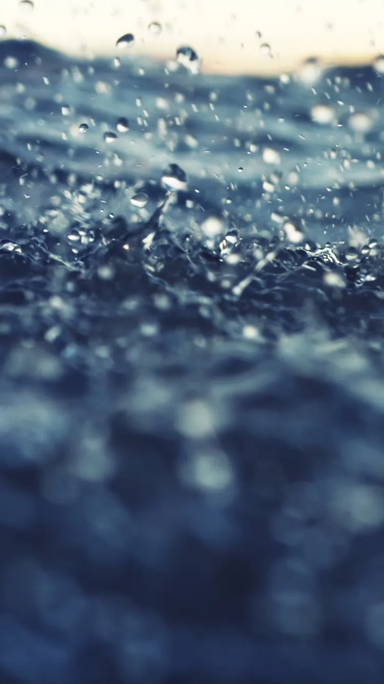 banner come here